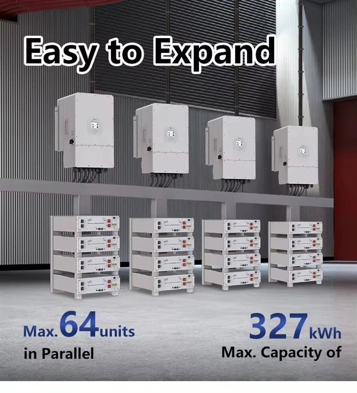 51.2V 100AH Lifepower4 Server Rack Battery